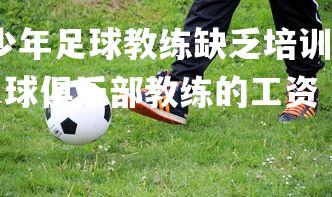 问鼎娱乐下载-青少年足球教练缺乏培训，大规模比赛参与者暴增，青少年足球俱乐部教练的工资