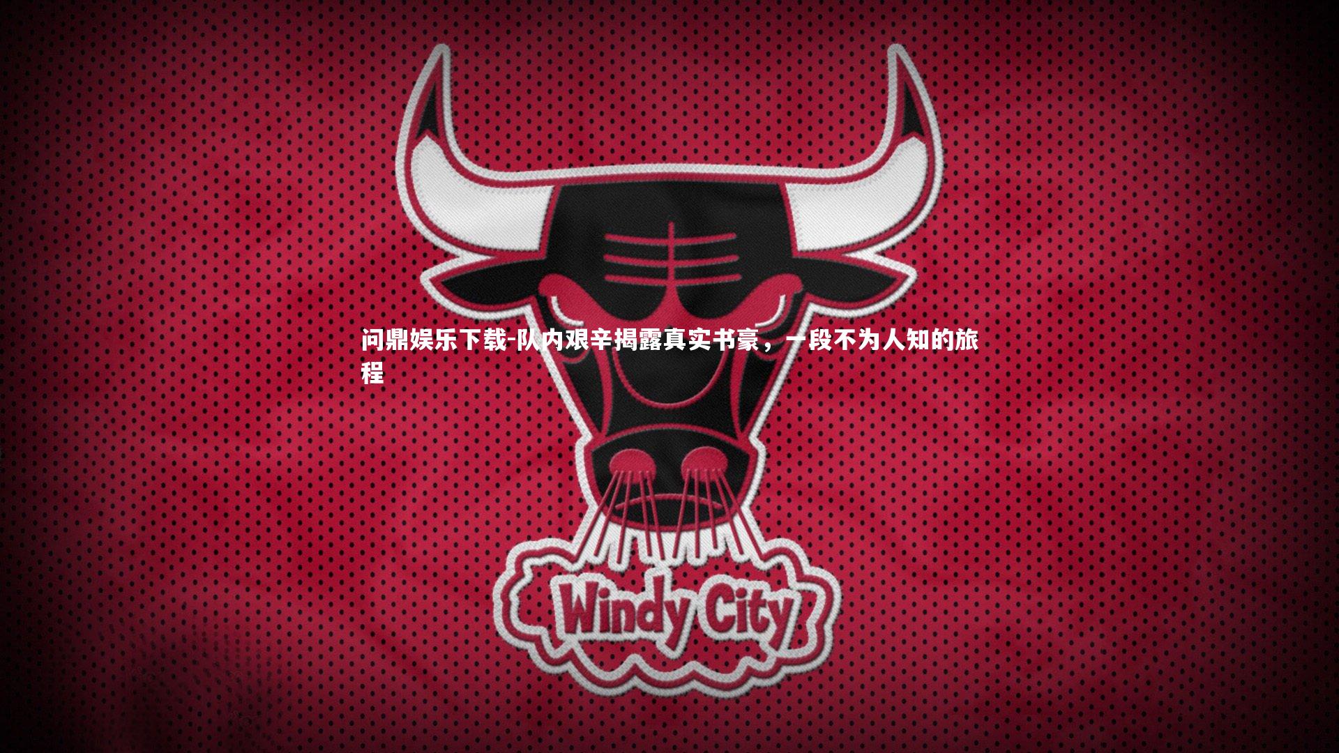 队内艰辛揭露真实书豪，一段不为人知的旅程